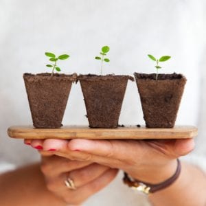 church plant