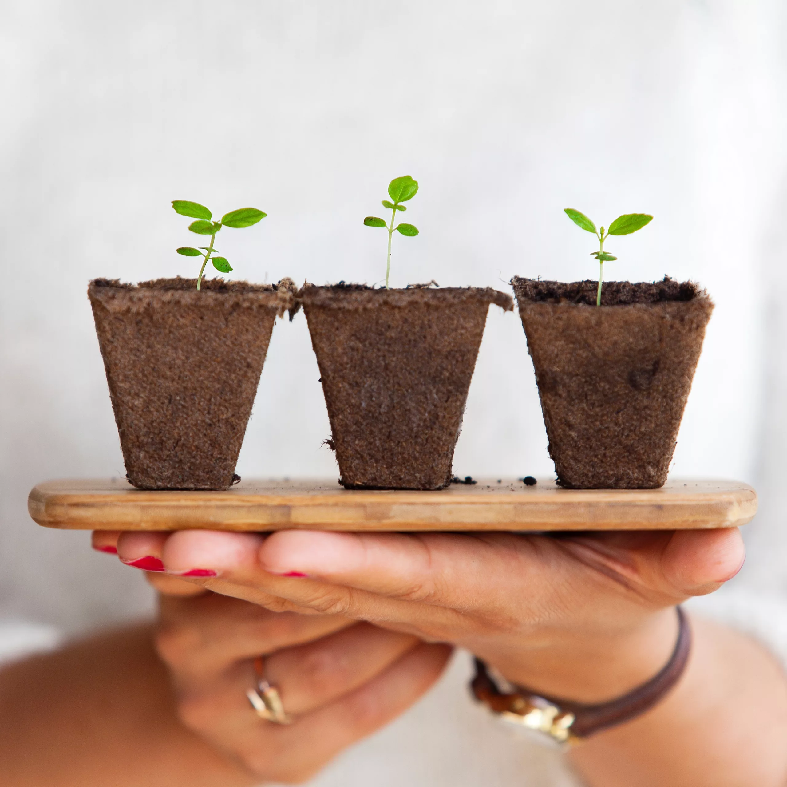 church plant